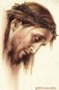 اسم الصورة=Jesus-Crucified_(248).JPG
حجم الملف=29كيلوبايت
الأبعاد=458x700
تاريخ الإضافة=%797 %11, %2008 Jesus-Crucified_(248).JPG