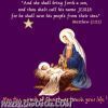 اسم الصورة=al_melad_(117).jpg
حجم الملف=17كيلوبايت
الأبعاد=375x375
تاريخ الإضافة=%060 %20, %2008 al_melad_(117).jpg