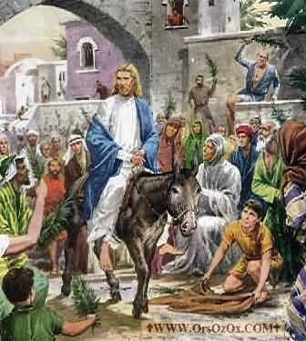 Jesus-Life_(90).jpg