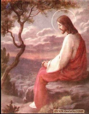 Jesus-Life_(27).JPG