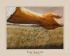 اسم الصورة=The-Sower-Print-C10109469.jpg
حجم الملف=35كيلوبايت
الأبعاد=400x323
تاريخ الإضافة=%558 %26, %2008 The-Sower-Print-C10109469.jpg