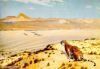اسم الصورة=Numbers-Tiger%20in%20Desert.jpg
حجم الملف=127كيلوبايت
الأبعاد=800x556
تاريخ الإضافة=%758 %24, %2008 Numbers-Tiger%20in%20Desert.jpg