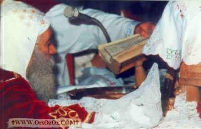 PopeShenoudaIII_(377).jpg