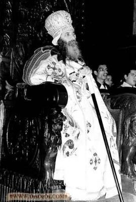 PopeShenoudaIII_(81).jpg