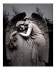 اسم الصورة=Missing-you-Giclee-Print-C12193998.jpg
حجم الملف=39كيلوبايت
الأبعاد=360x450
تاريخ الإضافة=%982 %02, %2008 Missing-you-Giclee-Print-C12193998.jpg