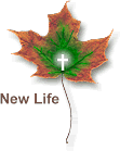 leaf_01_sm.gif