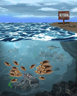 mf_nofishing-1794.png