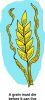 اسم الصورة=rg_clipart_0009-1876.png
حجم الملف=39كيلوبايت
الأبعاد=137x300
تاريخ الإضافة=%490 %30, %2008 rg_clipart_0009-1876.png