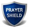 sy_shield-2061.png