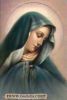 اسم الصورة=26.JPG
حجم الملف=7كيلوبايت
الأبعاد=252x374
تاريخ الإضافة=%146 %03, %2008 26.JPG